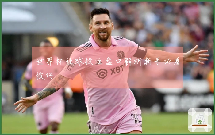 世界杯让球投注盘口解析新手必看技巧