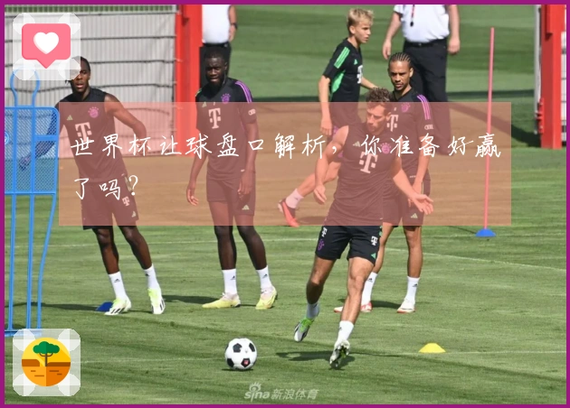世界杯让球盘口解析，你准备好赢了吗？
