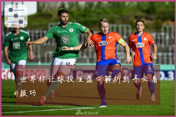 世界杯让球投注盘口解析新手必看技巧