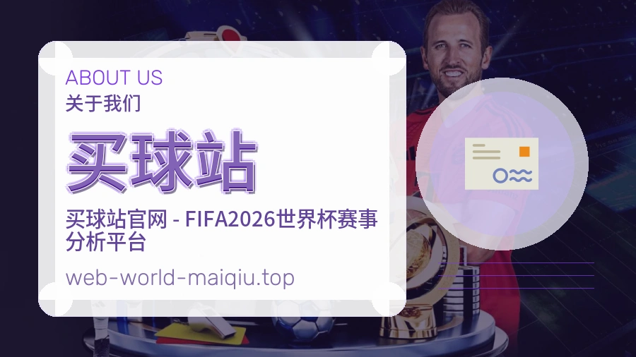 关于 买球站 团队与服务